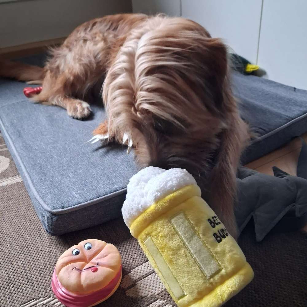 Hundetreffen-Gassirunde...-Profilbild