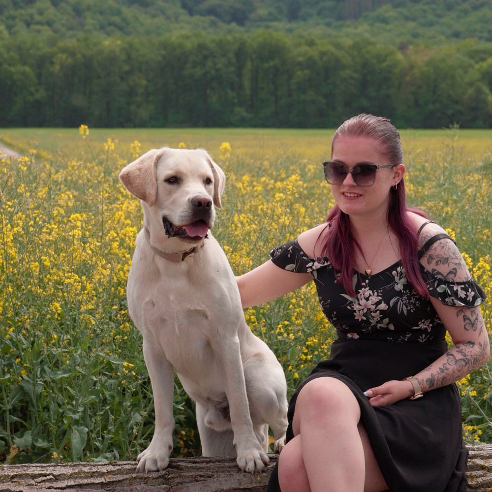 Hundetreffen-entspannte Gassirunden & Spieltreffen 😄🐕-Profilbild