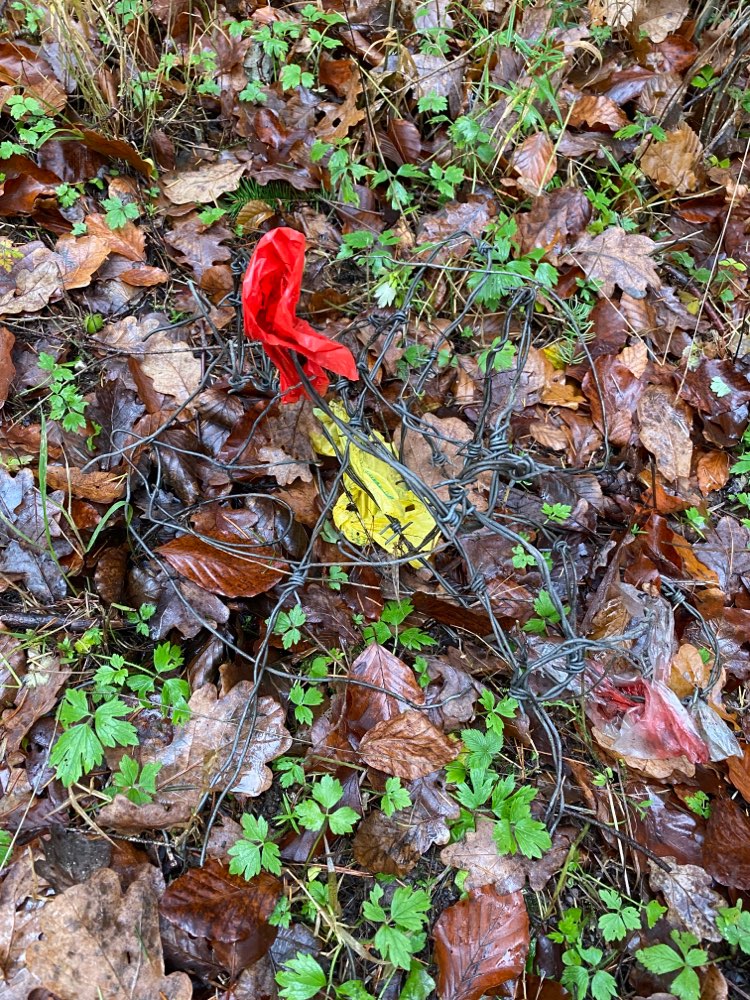 Giftköder-Stacheldraht-Profilbild