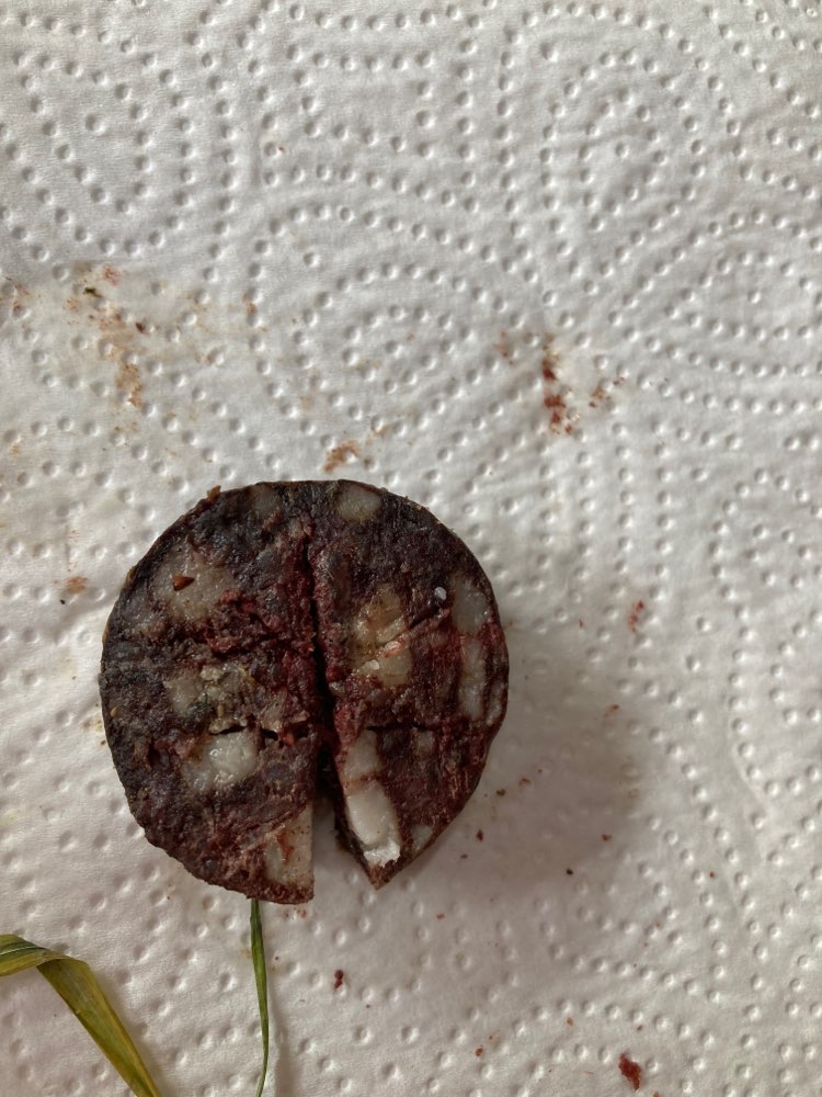 Giftköder-Blutwurststück-Profilbild