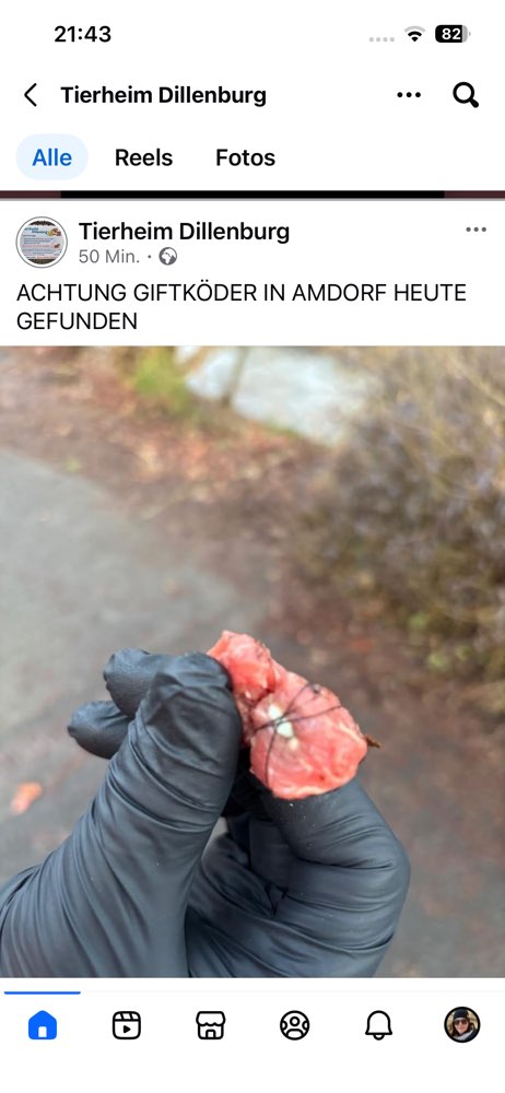 Giftköder-Giftködermeldung über das Tierheim Dille-Profilbild