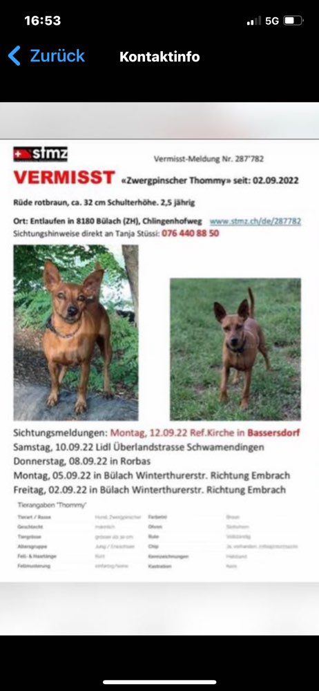 Suchmeldung-Thommy-Profilbild