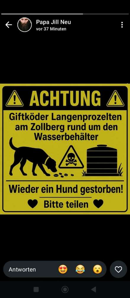 Giftköder-Giftköder-Profilbild