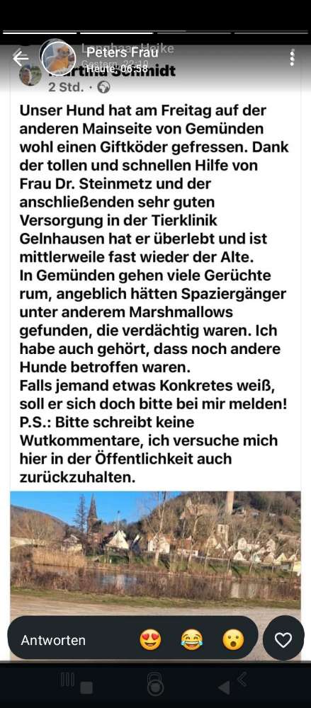 Giftköder-Giftköder-Profilbild