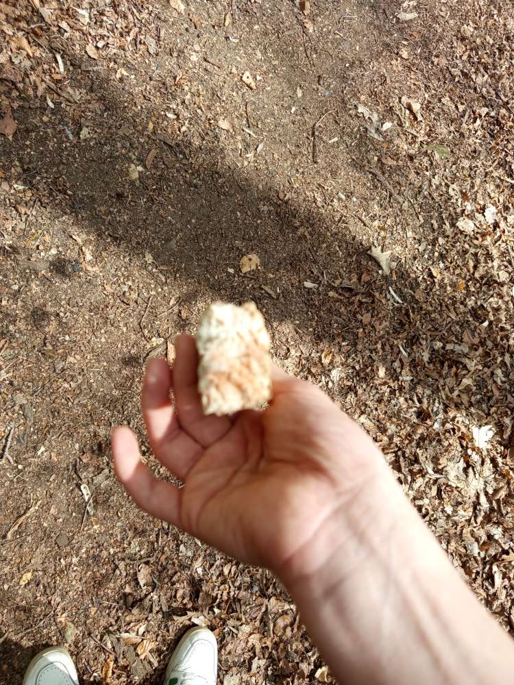 Giftköder-Gifköder vielleicht-Profilbild