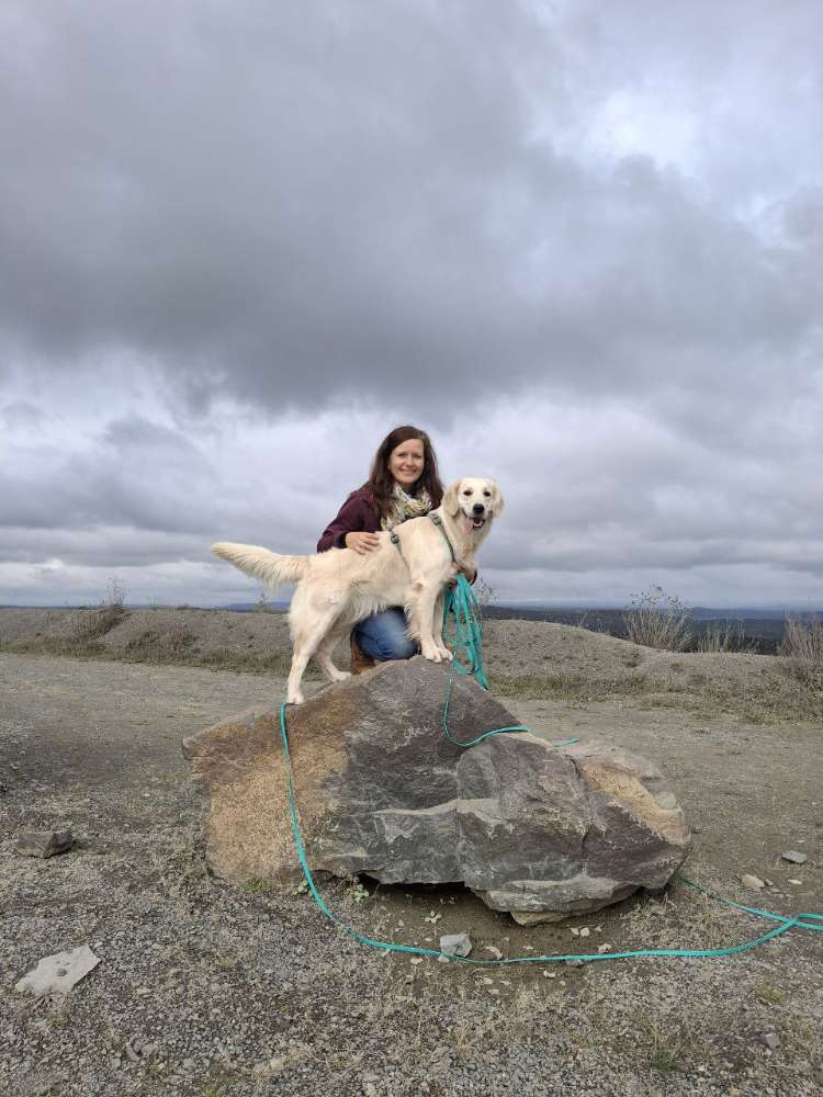 Hundetreffen-Gassitreff / Spiel & Spaß-Profilbild