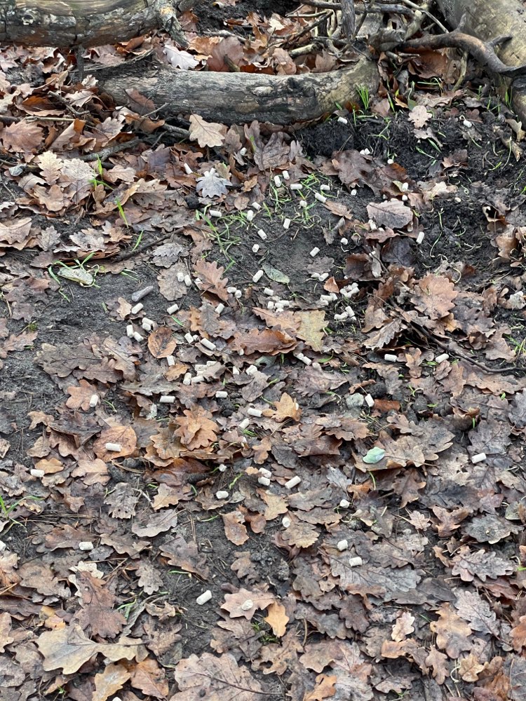 Giftköder-Giftköder-Profilbild