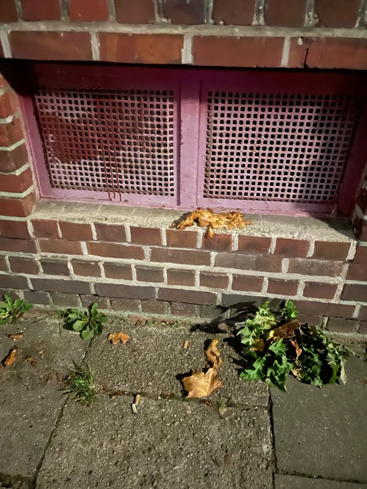 Giftköder-Mögliche Giftköder-Profilbild