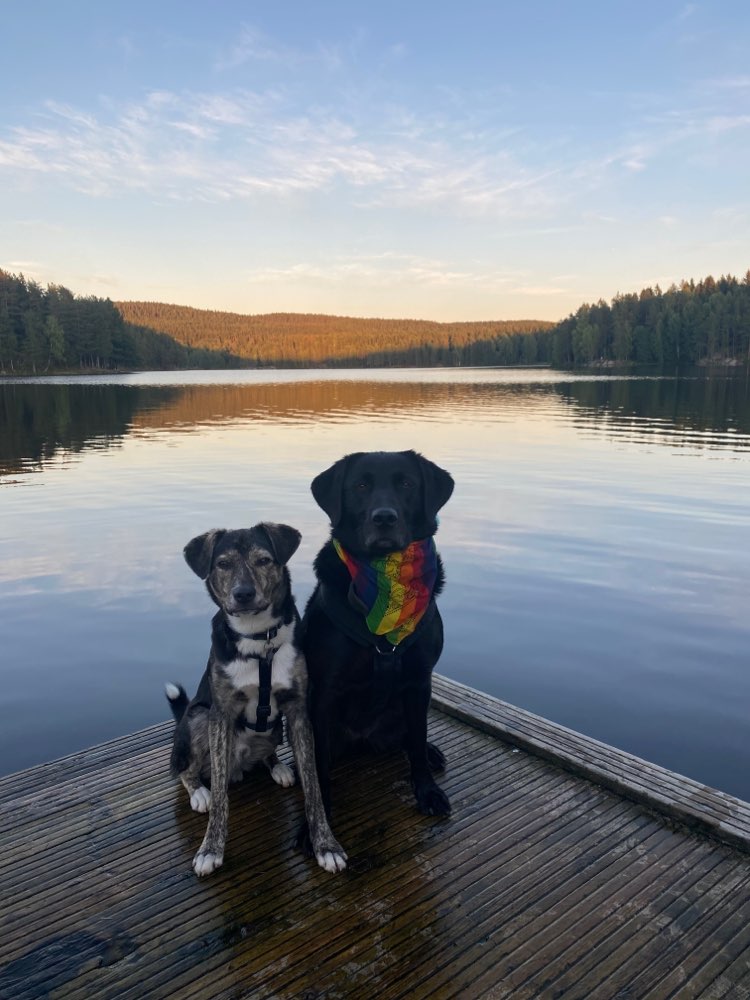 Hundetreffen-Hundesitter gesucht-Profilbild