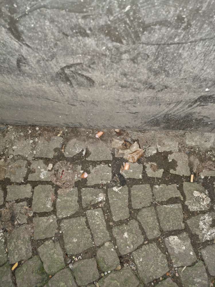 Giftköder-Vorsätzlich ausgelegte Köder-Profilbild