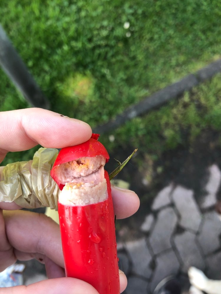 Giftköder-Giftköder-Profilbild