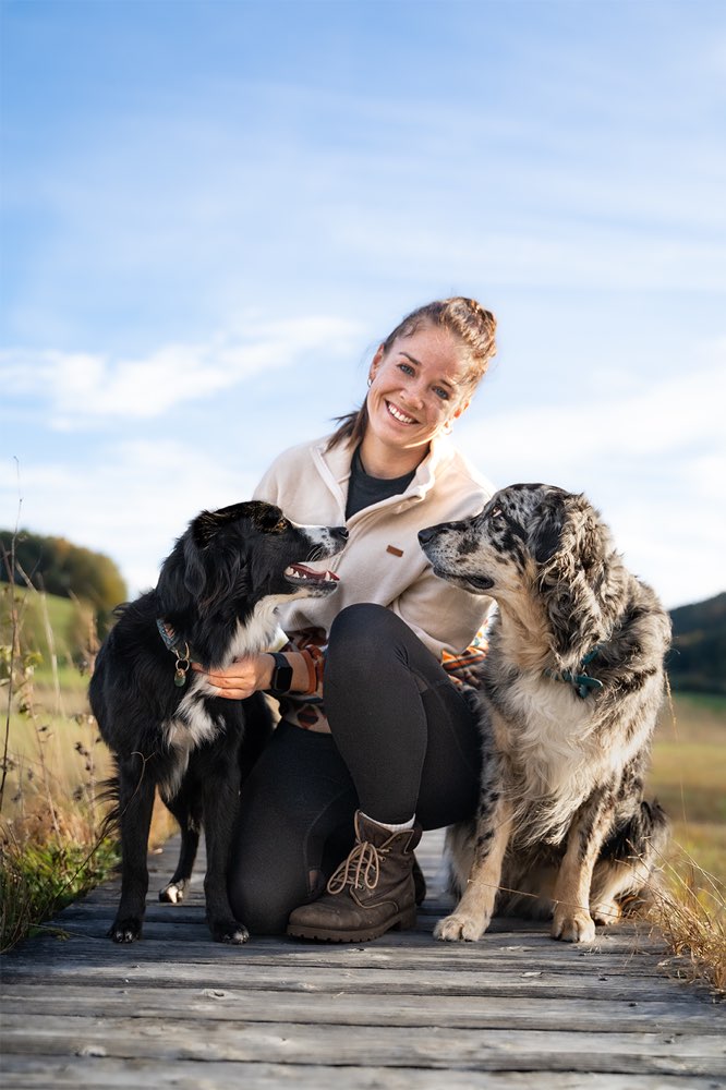 Hundetreffen-Trainingsspaziergang/Social Walk-Profilbild