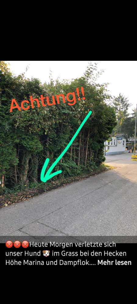 Giftköder-Rasierklingen-Profilbild