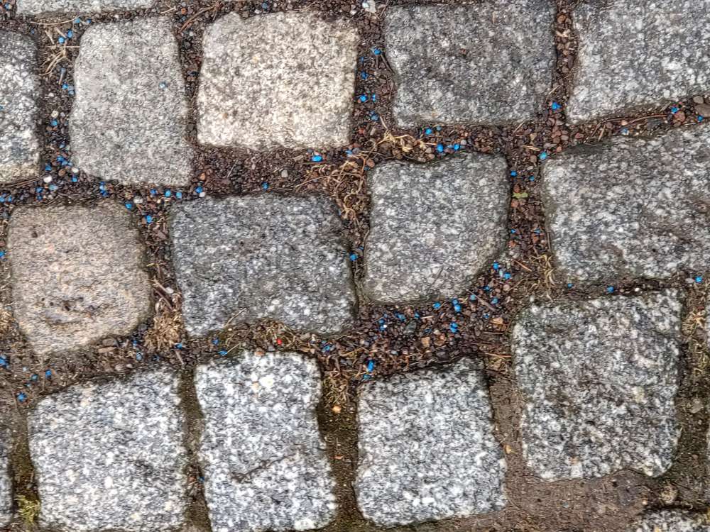 Giftköder-Blaukorn/Schneckenkorn-Profilbild