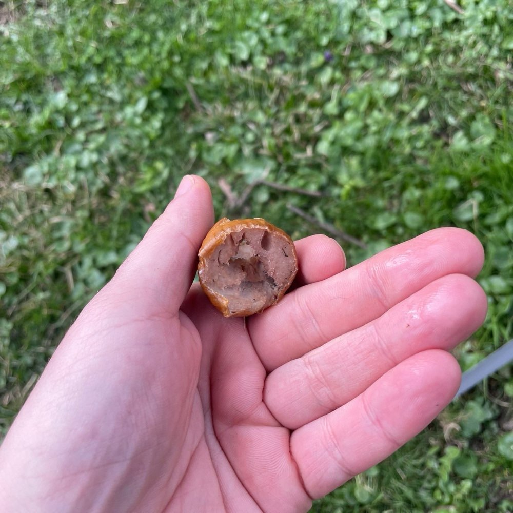 Giftköder-Wurst mit Scherben-Profilbild