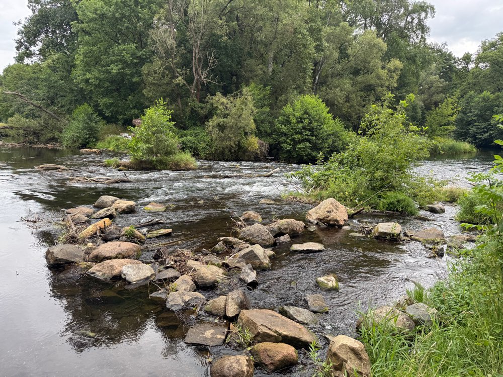 Hundetreffen-Gassirunde in Fraundorf-Profilbild