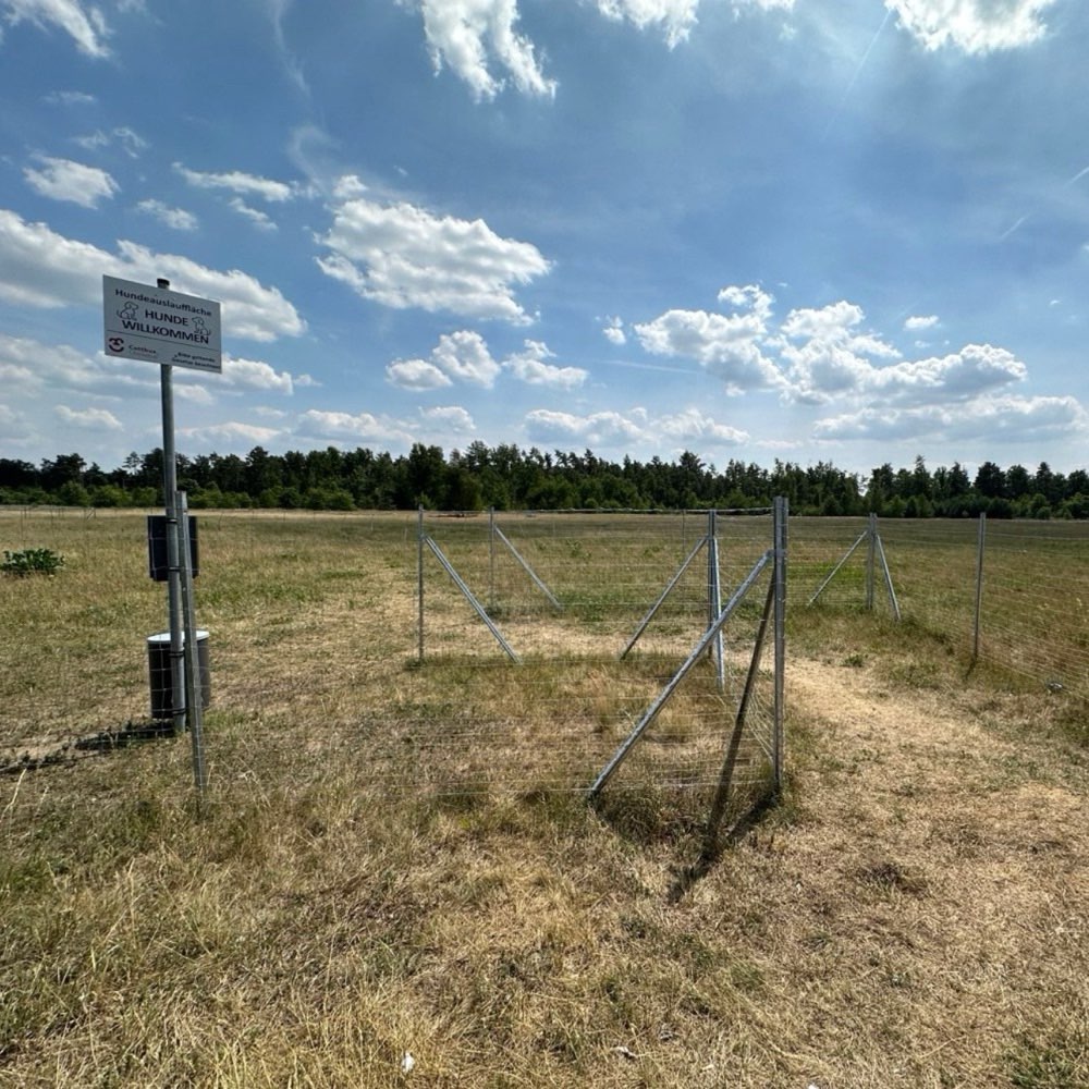 Hundetreffen-Spielrunde auf dem Hundeplatz am Cottbusser Flughafen-Profilbild