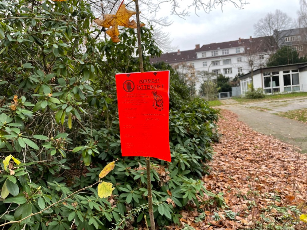 Giftköder-Rattengift-Profilbild