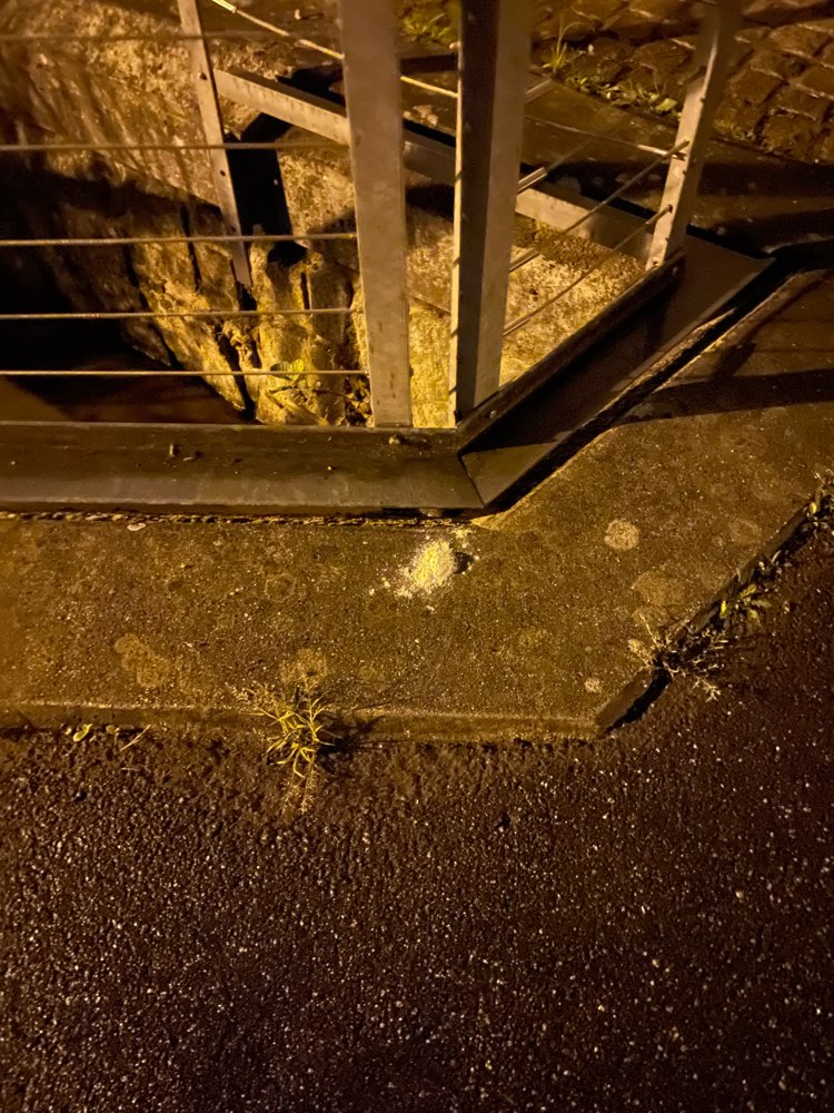 Giftköder-Weisses Pulver-Profilbild