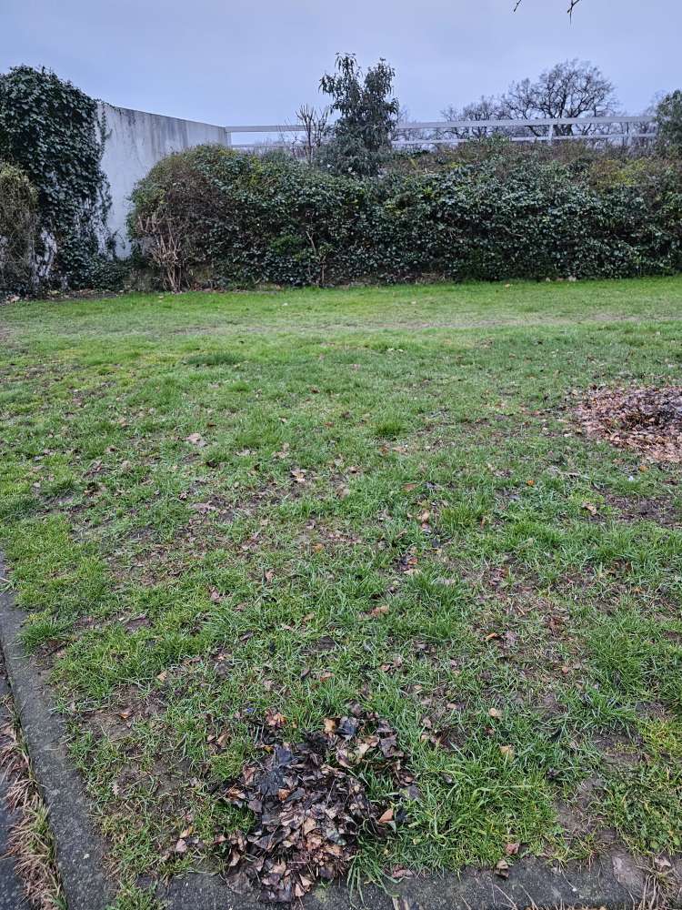 Giftköder-Würstchenstücke in Laubhaufen-Profilbild