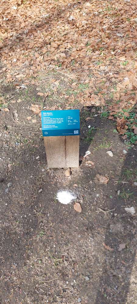 Giftköder-Weisses Pulver-Profilbild