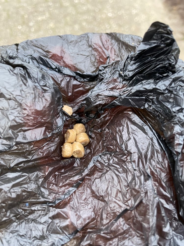 Giftköder-Mögliche Giftköder-Profilbild