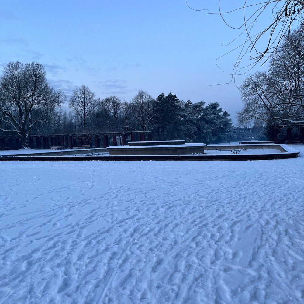 Hundetreffen-Chihuahua- und weitere Kleinhunde Nordpark oder/und Rhein-Profilbild