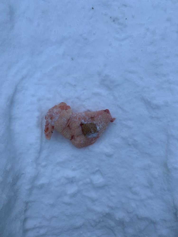 Giftköder-Hähnchenflügel-Profilbild