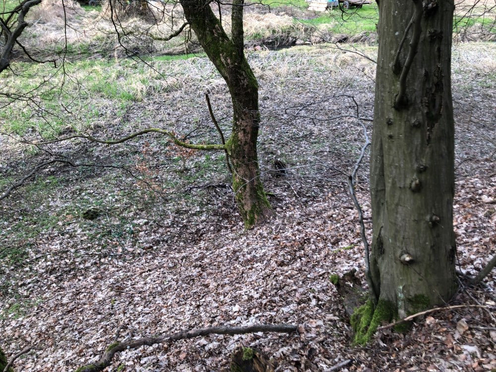 Giftköder-Tierkadaver-Profilbild