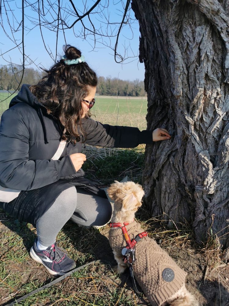 Hundetreffen-Begegnungstraining-Profilbild