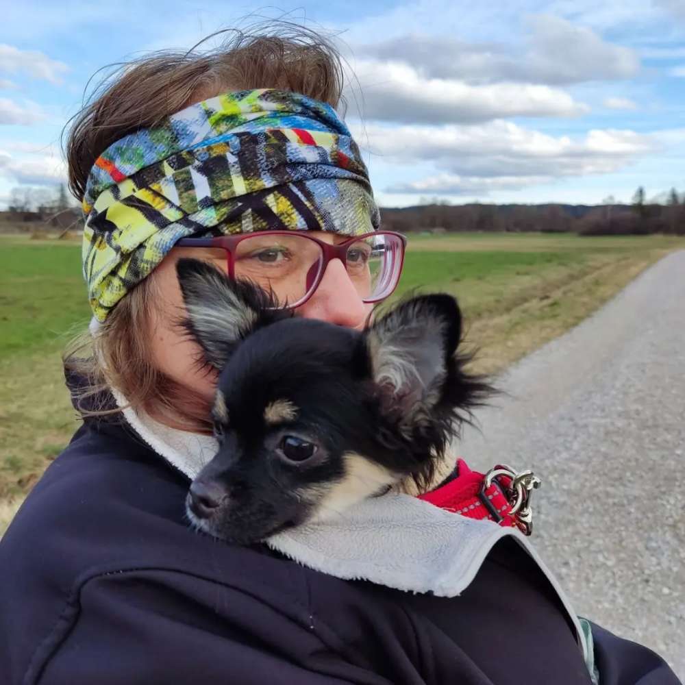 Hundetreffen-Chihuahua Treffen/Spielgruppe-Profilbild