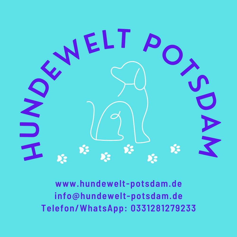 Hundetreffen-Gassirunde auf Hermannswerder in Potsdam-Profilbild