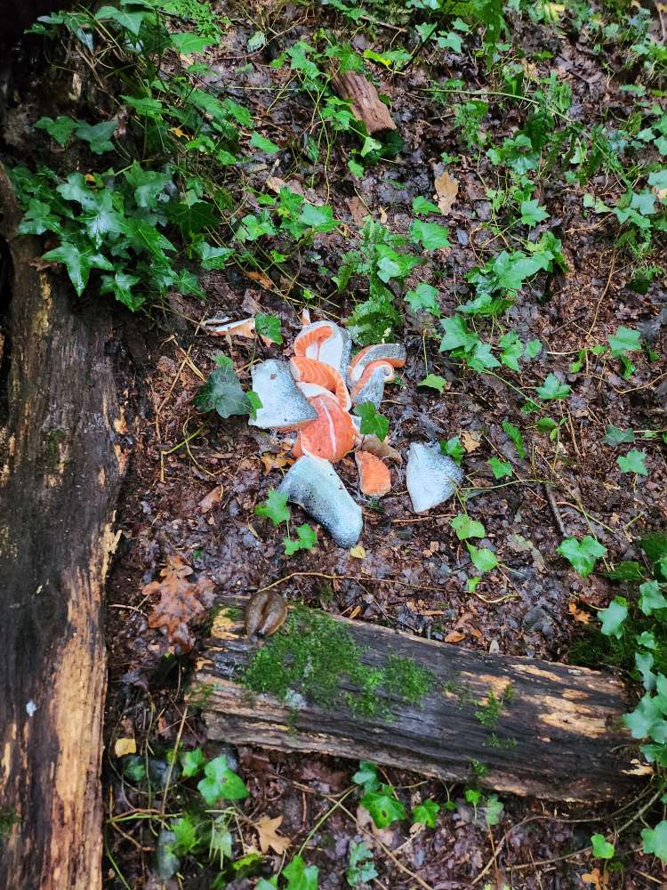 Giftköder-Fischstücke (roh)-Profilbild