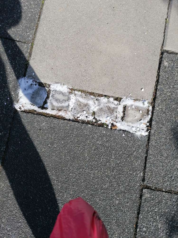 Giftköder-Weißes Pulver am Gehweg und Rand-Profilbild