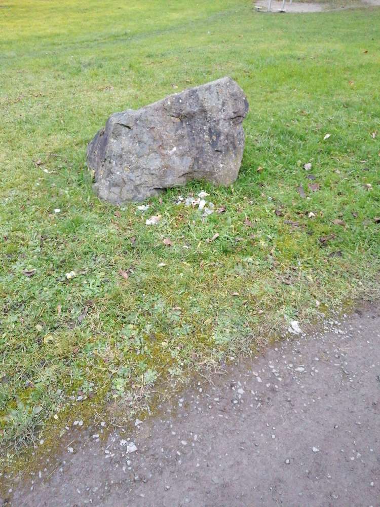 Giftköder-Glasscherben auf der Wiese-Profilbild