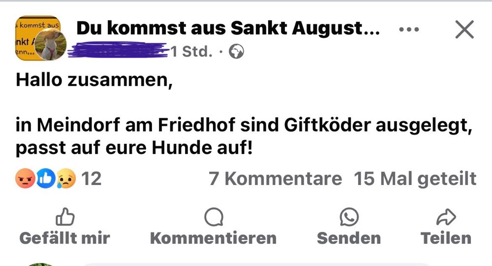 Giftköder-Giftköder am Friedhof in Meindorf-Profilbild
