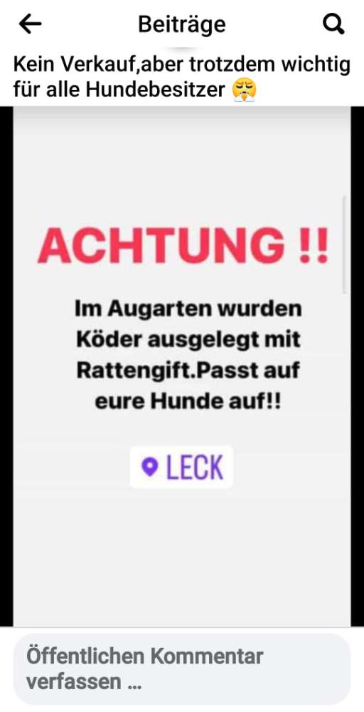 Giftköder-Köder in leck-Profilbild