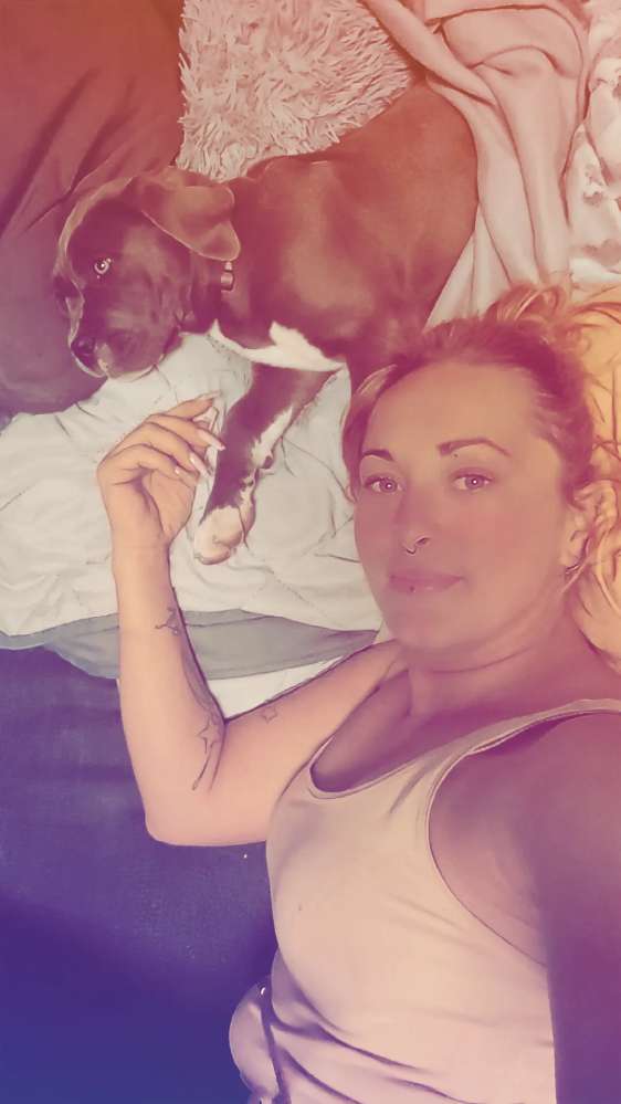 Hundetreffen-Spiele und Gassi runden-Profilbild