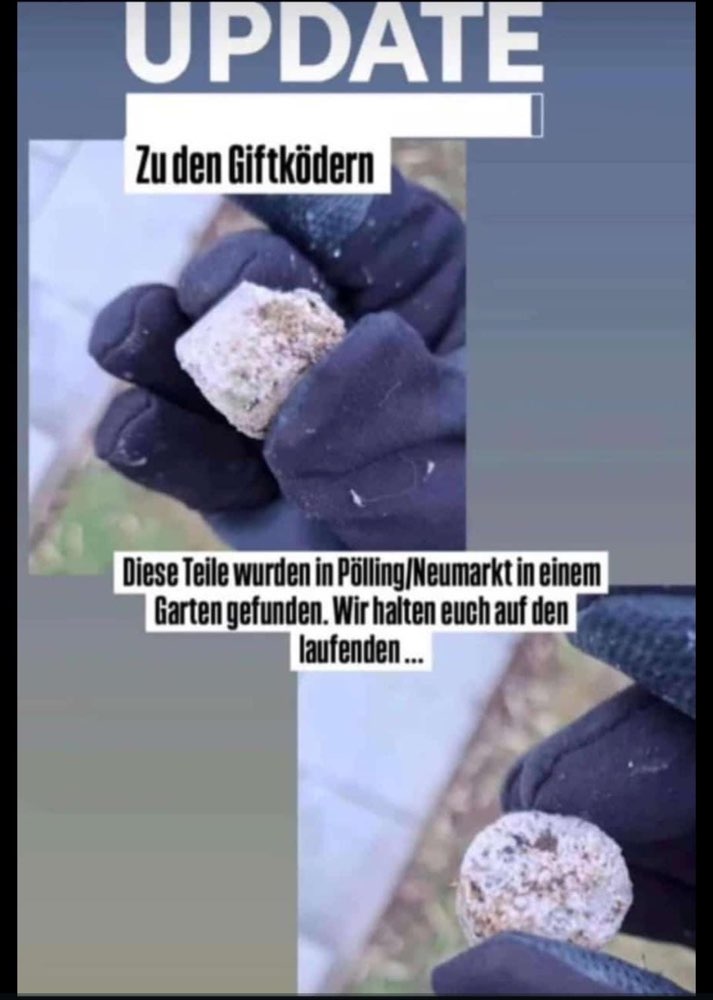 Giftköder-Giftköder in Pölling-Profilbild