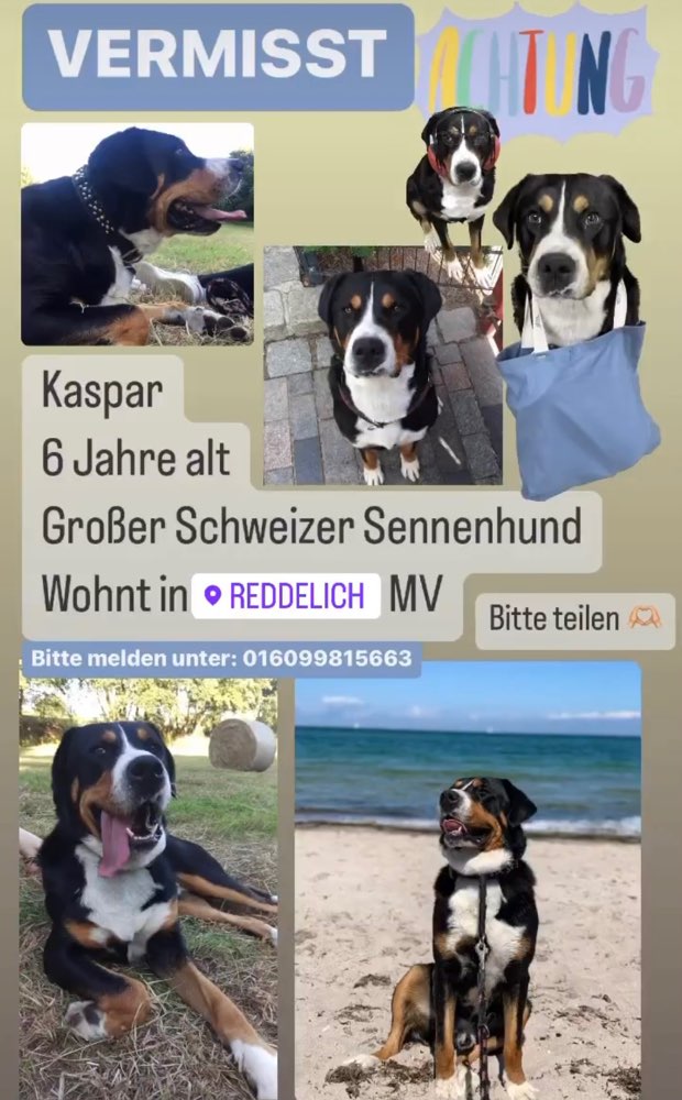 Suchmeldung-Kaspar-Profilbild