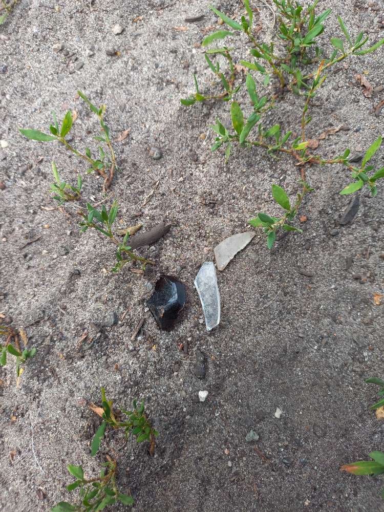 Giftköder-Glasscherben-Profilbild