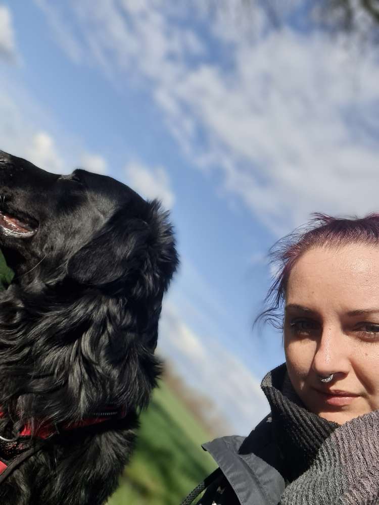 Hundetreffen-Gemeinsame Hunderunde-Profilbild