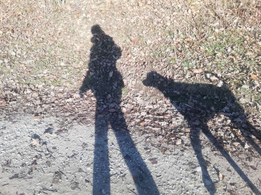 Hundetreffen-Gassifreunde Wanted!!!-Profilbild