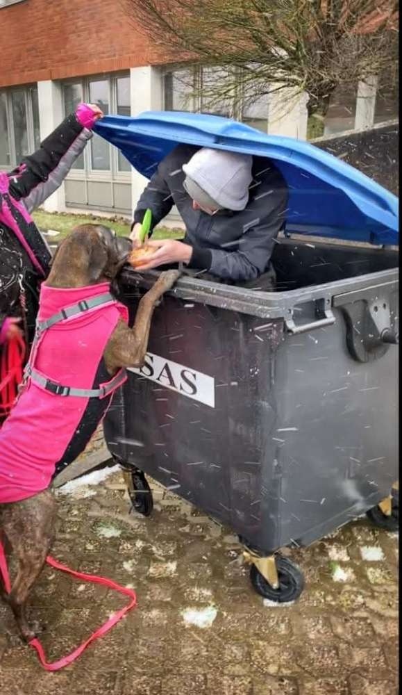 Hundetreffen-Mantrailing in Schwerin und Umgebung-Profilbild