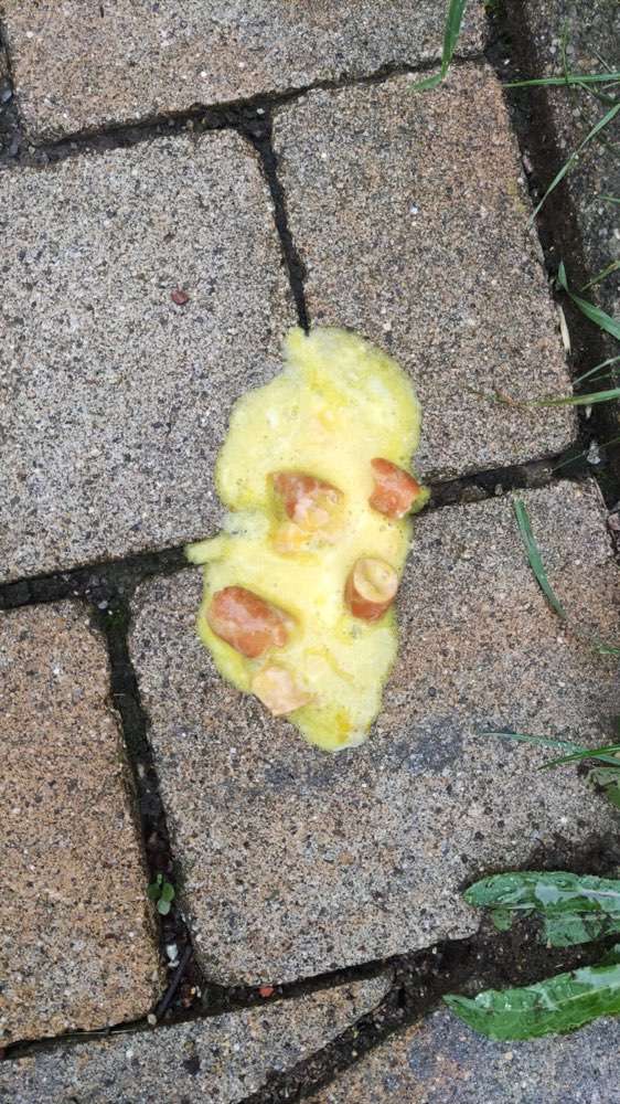 Giftköder-Vergiftete Wurst-Profilbild