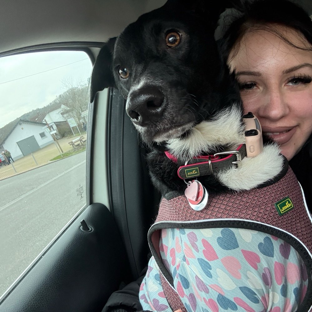 Hundetreffen-Gemeinsam Unterwegs-Profilbild