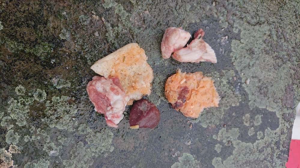 Giftköder-Fleischbälle/Fischköpfe/Fleischstücke ..-Profilbild