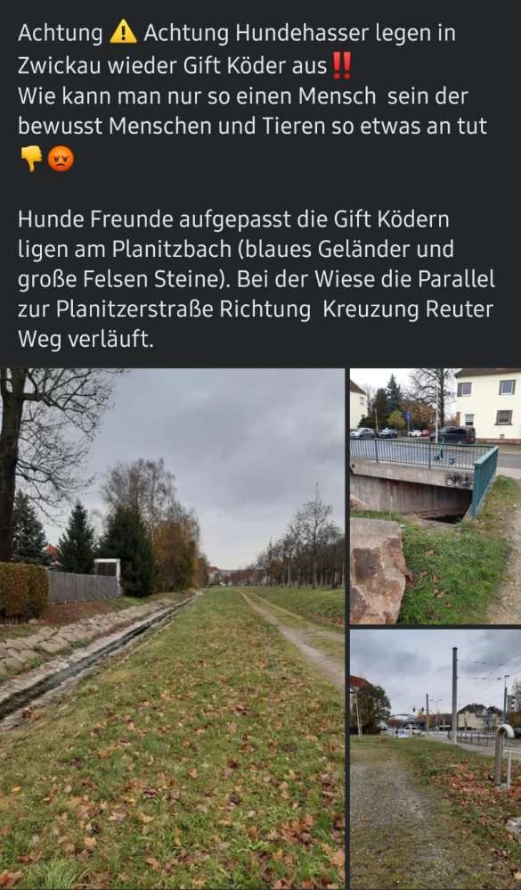 Giftköder-Giftköder-Profilbild