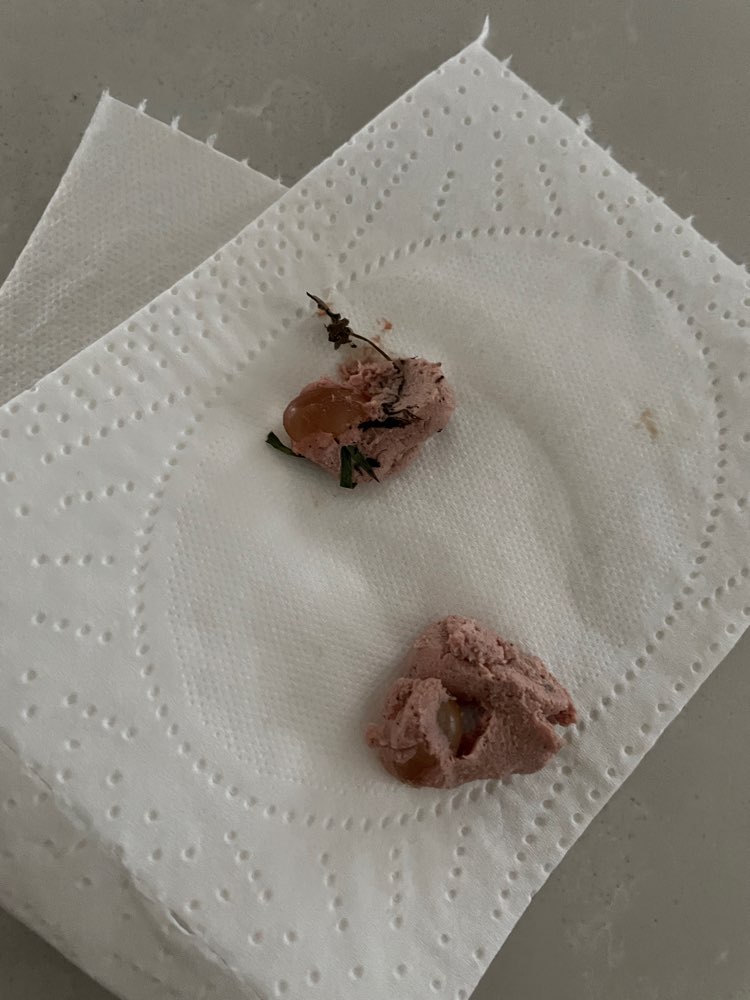 Giftköder-Giftköder-Profilbild