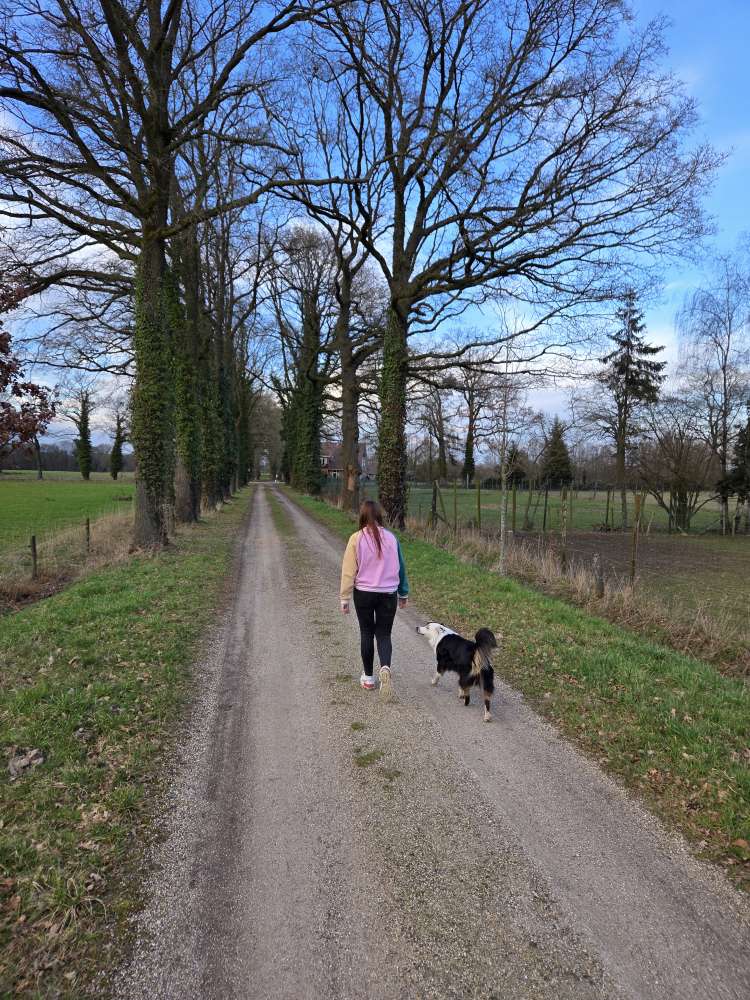 Hundetreffen-Gassirunde mit Tobe einheit-Profilbild